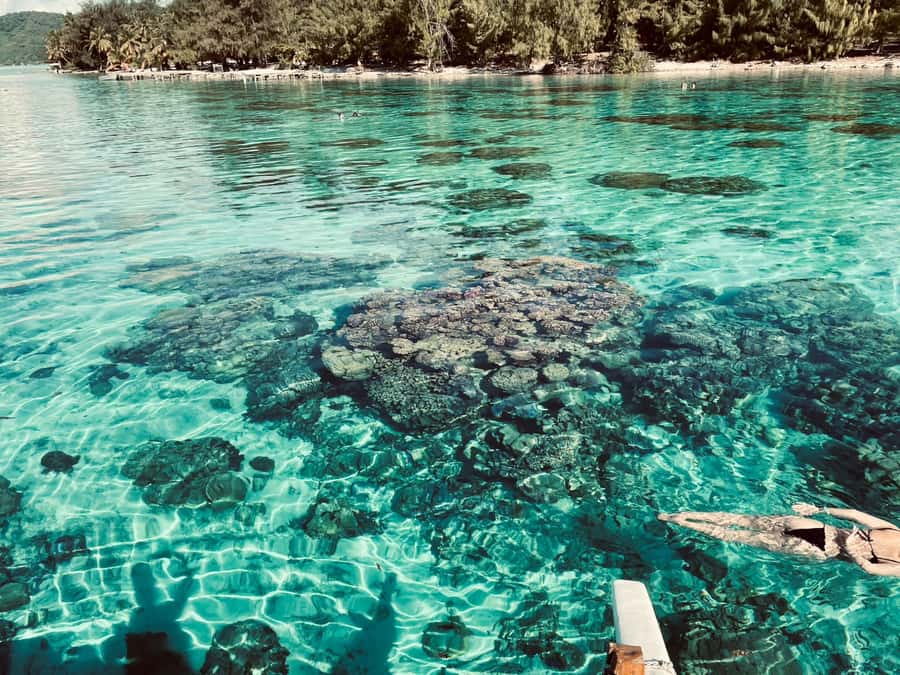 Bora Bora: 1/2 day lagoon safari - Shared tour - Value for money: is $117 worth it in Bora Bora?