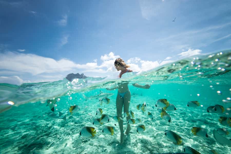 Bora Bora: Eco Shark and Snorkeling Safari - Snorkel stop one: black-tip reef sharks and stingrays in the lagoon