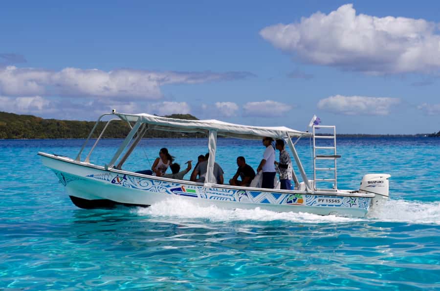 Bora Bora: Eco Shark and Snorkeling Safari - Price, gear, and practical packing for a smooth safari