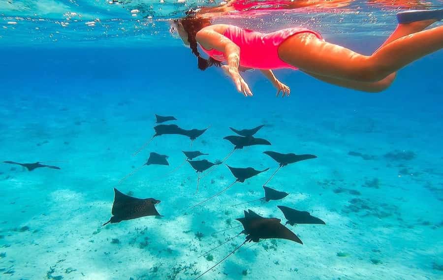 Bora Bora: Full day Lagoon Safari & Lunch on a Motu - ST - Safety and Comfort: What Helps Most (Especially If You’re Not a Strong Swimmer)