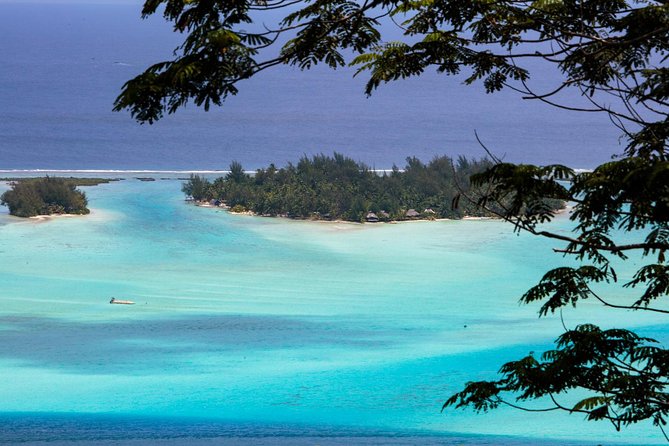 Bora Bora Half Day 4X4 Island Safari Tours - WWII-era guns and the Bora Bora interior stops you can’t reach on your own