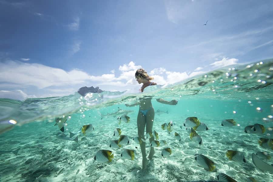 Bora Bora: Jet Ski, Lunch & Shark/ Ray Safari - Key things that make this combo worth your time