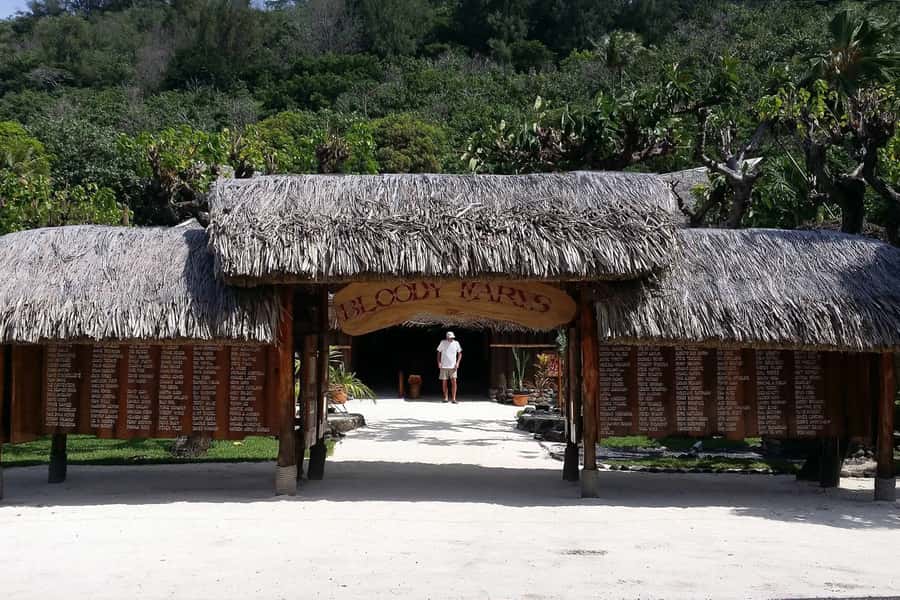 Bora Bora: Jet Ski, Lunch & Shark/ Ray Safari - Price and what you really get for $295 per person