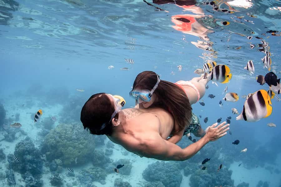 Bora Bora: Jet Ski, Lunch & Shark/ Ray Safari - Small group, real safety, and who should plan for something else