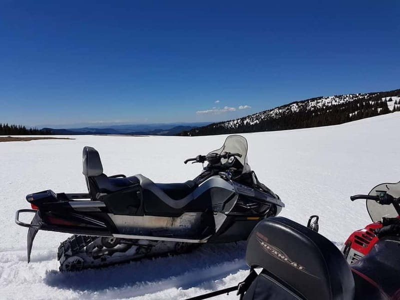 Borovets: Deposit for Snowmobile Safari with Instructor - How the 1-hour forest route actually feels