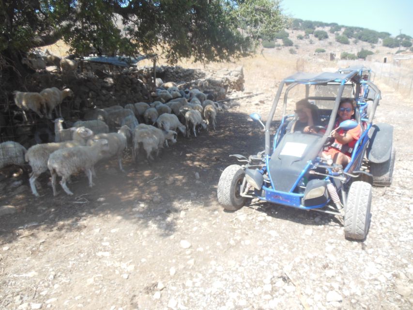 Buggy safari Crete (Transfer and lunch) analipsi- hersonisos - The gorges and mountain driving: what makes it feel like an adventure