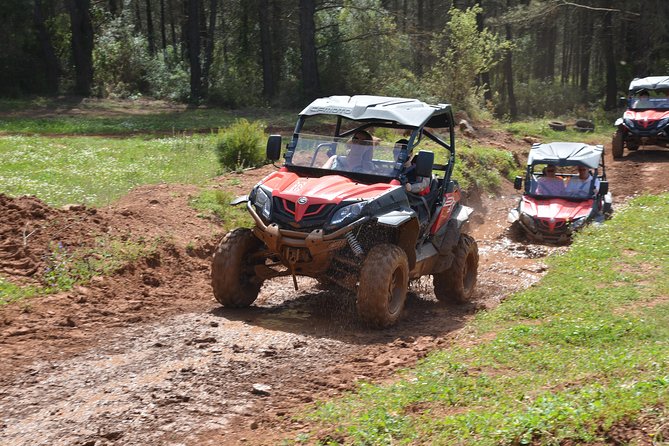 Buggy Safari for 2 people - What the 3.5 hours feels like in real time
