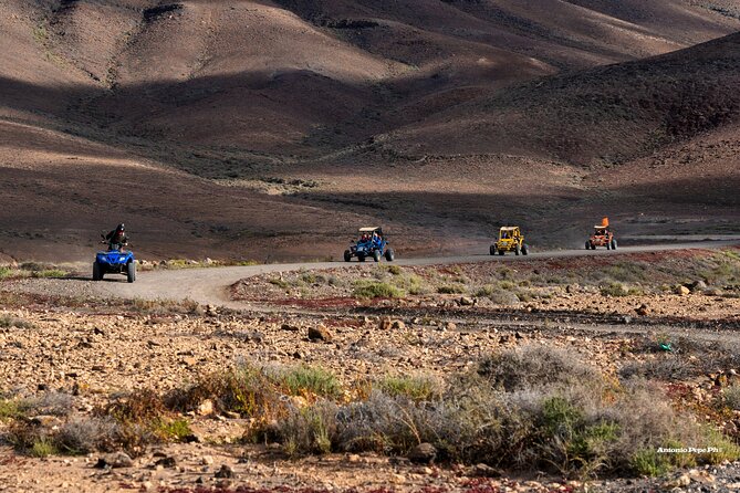 Buggy Safari in Caleta de Fuste - Stop 2: Camino los Alares farm visit and goat cheese tasting