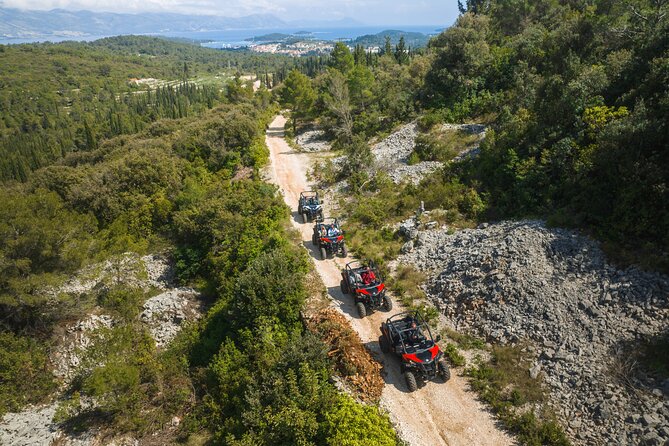 Buggy Safari With Wine Tasting - Key Highlights You’ll Notice