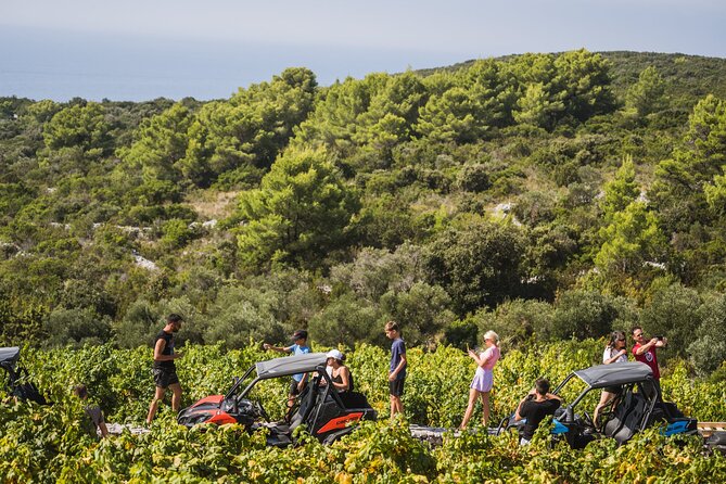 Buggy Safari With Wine Tasting - The 4-Hour Route: From Korčula Town to Vela Przina