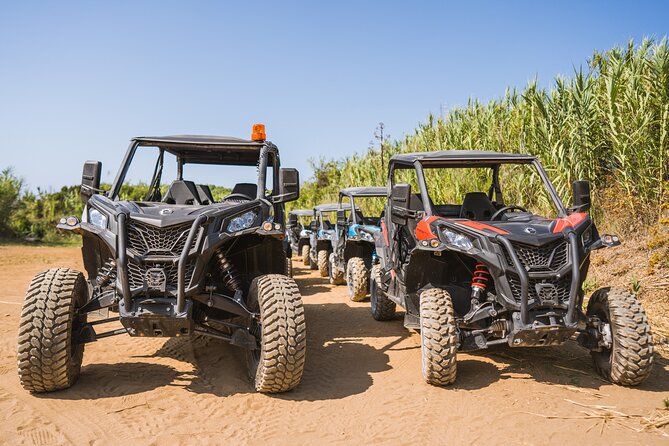 Buggy Safari With Wine Tasting - Vineyard Tracks and Greek Wine Grapes: Why the Drive Matters
