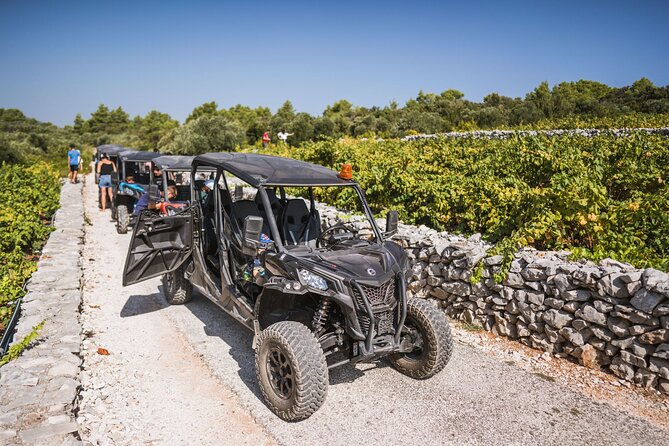 Buggy Safari With Wine Tasting - La’Banya Beach Stop: Another Chance to Look Back
