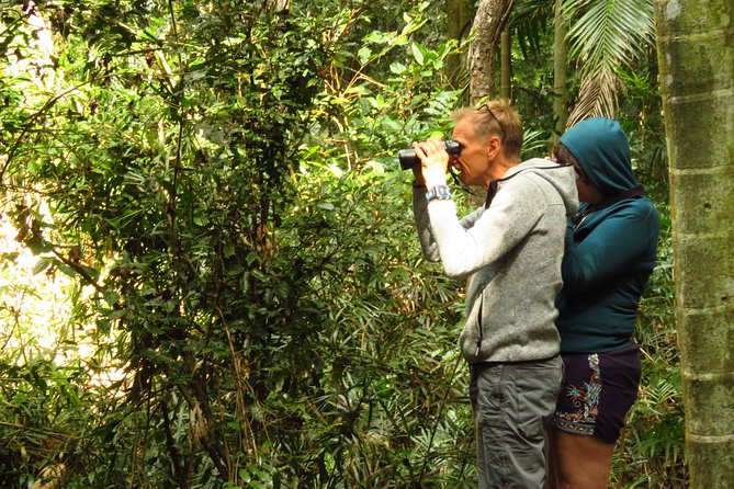Byron Bay Wildlife Safari - Quick Hits Before You Go
