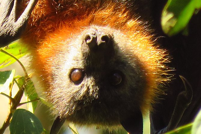 Byron Bay Wildlife Safari - How the 4WD Ride and Small Group Size Work