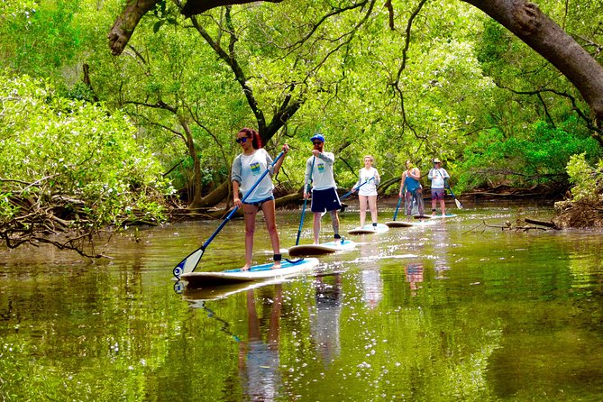 Byron Bay Wildlife Safari - Lunch in the Middle of Wildlife Time (Locally Sourced Picnic)