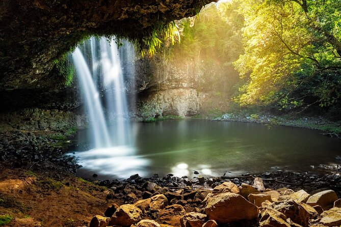 Byron Bay Wildlife Safari - Price and Value: Is $135.56 Worth It?