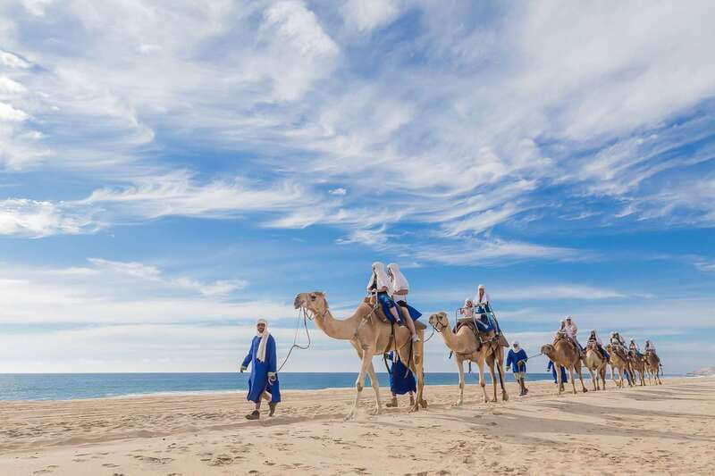 Cabo San Lucas: Camel Safari Tour with Lunch and Tequila - Where the Day Starts: Ranch Views and a Desert Walk