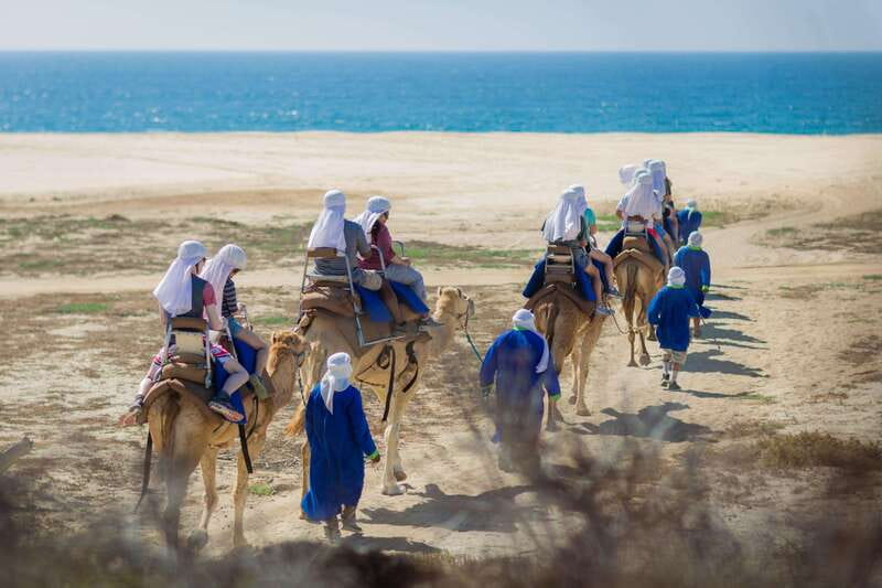 Cabo San Lucas: Camel Safari Tour with Lunch and Tequila - Lunch by the Water: Tortillas You Help Make