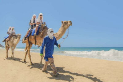 Cabo San Lucas: Camel Safari Tour with Lunch and Tequila - The Secluded Beach Camel Ride: Short Time, Big Views