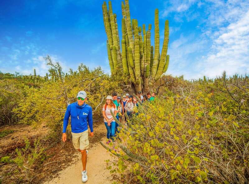Cabo San Lucas: Camel Safari Tour with Lunch and Tequila - Guide Energy Matters: Jesus and Michael Get Named