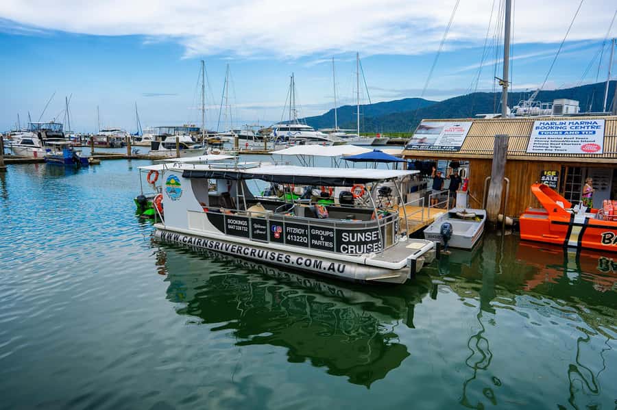 Cairns: Sightseeing River Boat Safari with Soft Drinks - Where the cruise starts: Cairns Marlin Marina and Berth A1