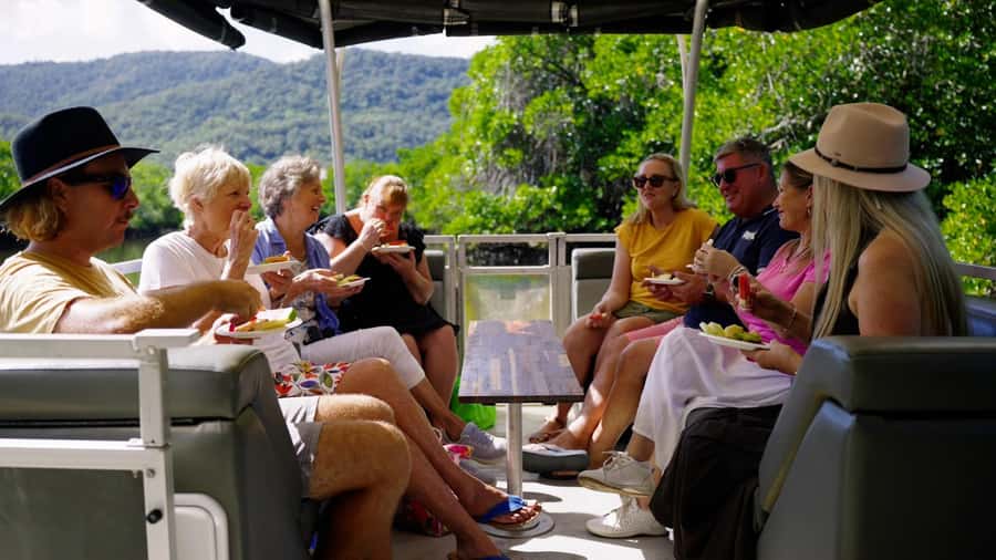 Cairns: Sightseeing River Boat Safari with Soft Drinks - The 75-minute timing that works (and when it might not)