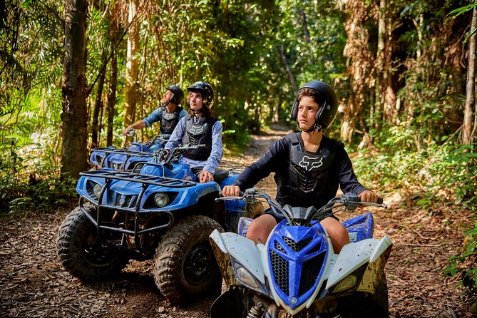 Cairns Trinity Inlet Sightseeing Safari - Should you book Cairns Trinity Inlet Sightseeing Safari?