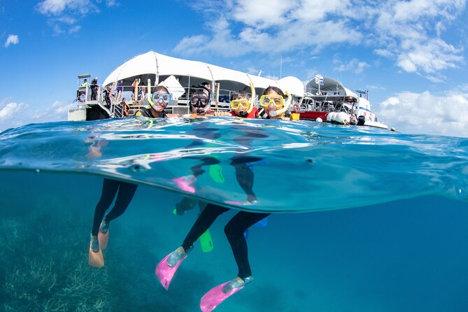 Cairns Trinity Inlet Sightseeing Safari - FAQ