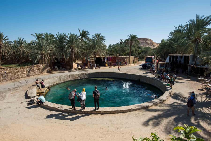 Cairo: 3-Day Siwa Oasis Tour, Safari, Camp & Historical Site - Why Siwa Feels So Different From Cairo