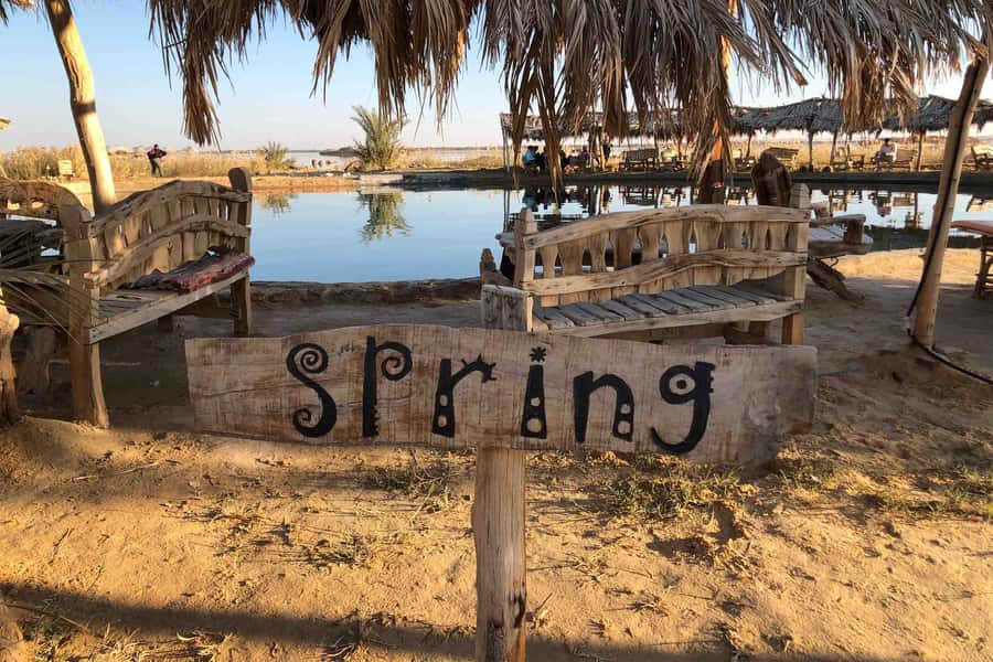 Cairo: 3-Day Siwa Oasis Tour, Safari, Camp & Historical Site - Price and Value: What $361 Buys for 3 Days Out of Cairo