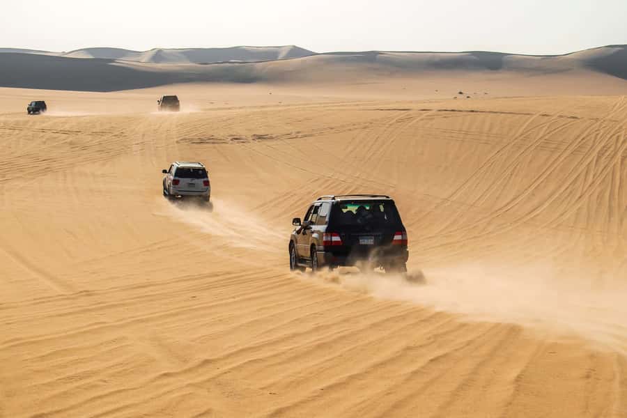 Cairo: 3-Day Siwa Oasis Tour, Safari, Camp & Historical Site - Who Should Book This Siwa Tour (and Who Should Skip It)