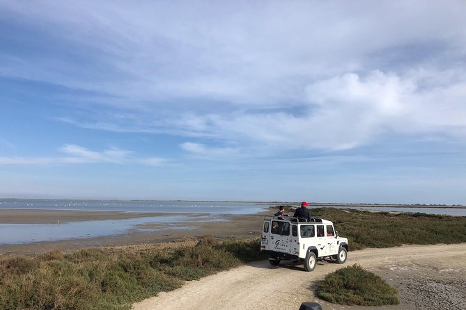 Camargue 4x4 Safari 2 hours Saintes Maries de la Mer - What to Bring and How to Prepare