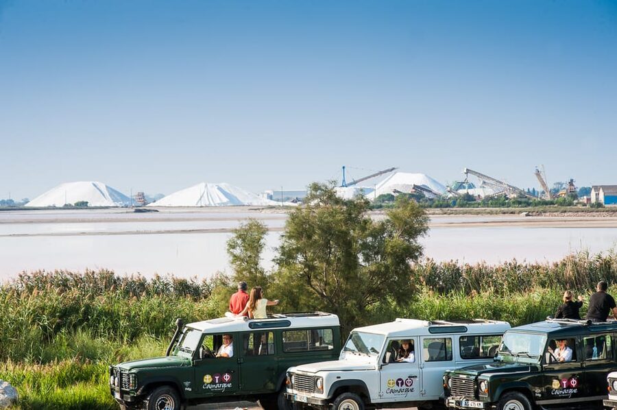 Camargue: Half-Day 4x4 Guided Safari Adventure - Mas du Notaire: local foods plus a 5-wine tasting break