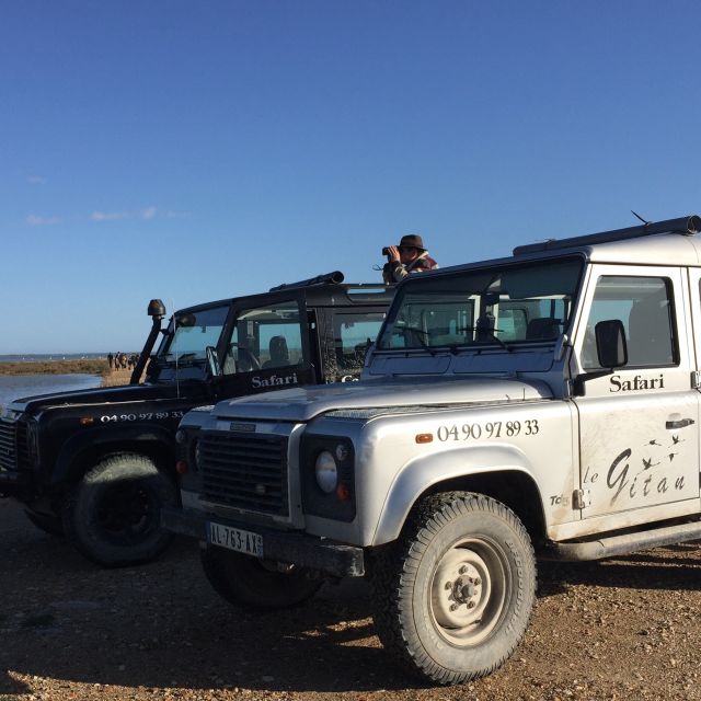Camargue: Safari from Saintes-Maries-de-la-Mer - Guides in Plain Language: How the Stories Stay Interesting
