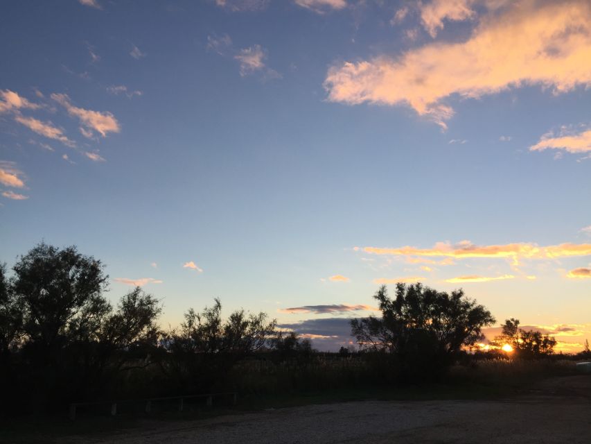 Camargue: Safari from Saintes-Maries-de-la-Mer - Packing and Practical Tips for a Sunny Delta Morning