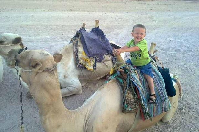 Camel ride & Bedouin dinner quad safari in Sharm el Sheikh - Quad Time Through the Desert: Fast, Windy, and Sunset-Focused