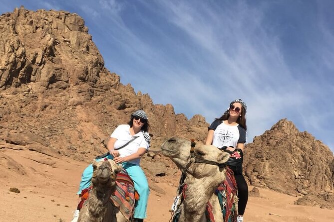 Camel ride & Bedouin dinner quad safari in Sharm el Sheikh - Safety, Pace, and Food: The Things to Get Right Before You Go