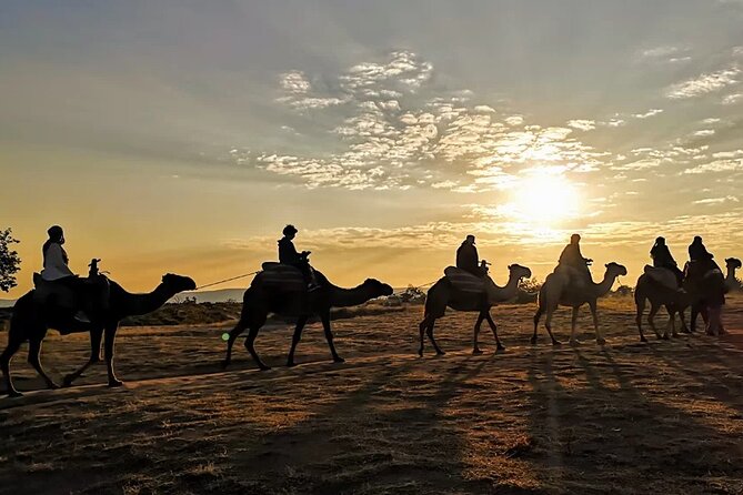 Camel Safari in Cappadocia - A 1-hour camel safari: the pacing and what to expect