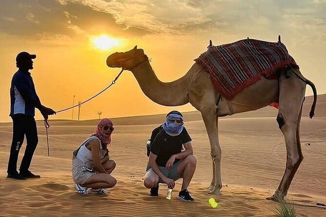 Camel Safari in Desert with Pickup and Drop off in Doha - How to get the most out of your camel and dune time