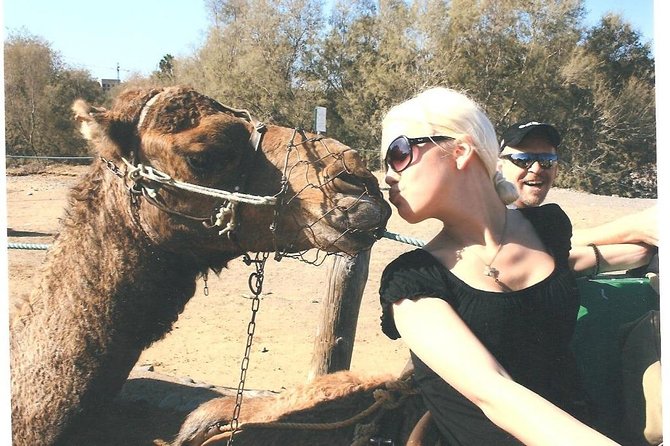 Camel Safari through the Dunes of Maspalomas - Key things to know before you book