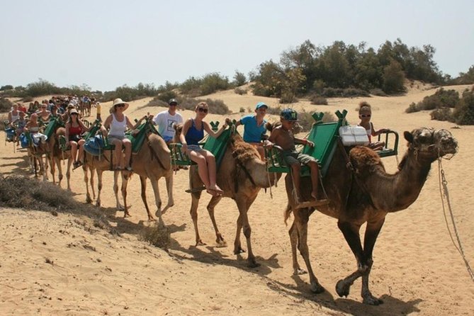 Camel Safari through the Dunes of Maspalomas - Maspalomas Camel Safari: What You’re Really Paying For