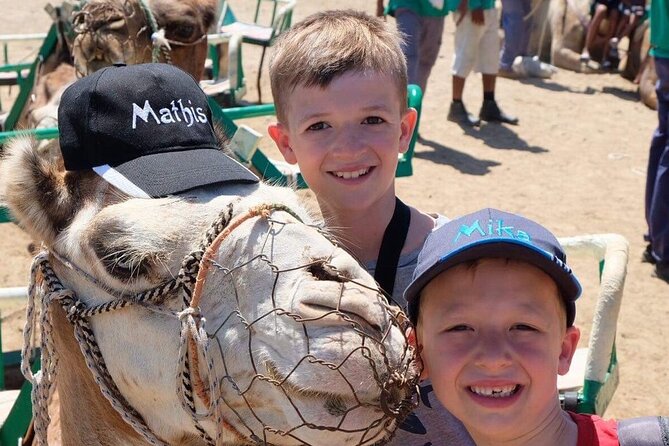 Camel Safari through the Dunes of Maspalomas - Photo Options and Small Extras