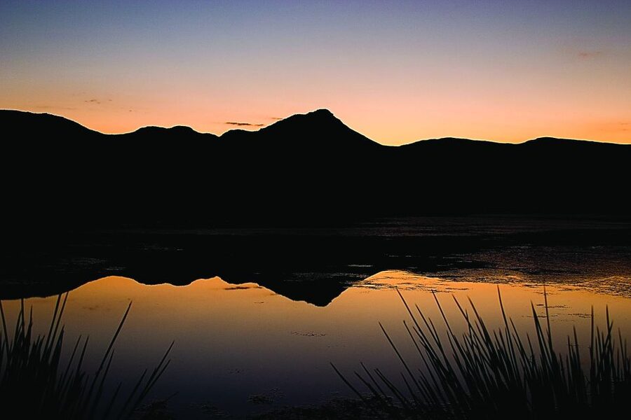 Cape Town: Aquila Game Reserve Day Entrance & Game Drive - Key highlights to look for