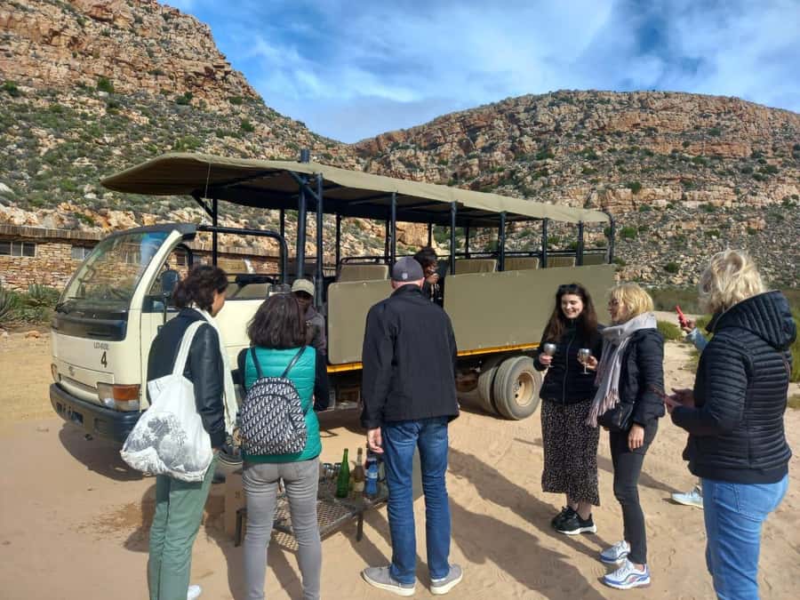Cape Town: Aquila Game Reserve Sunset Game Drive - Price and value: is $168 fair for a one-day Big Five hunt?