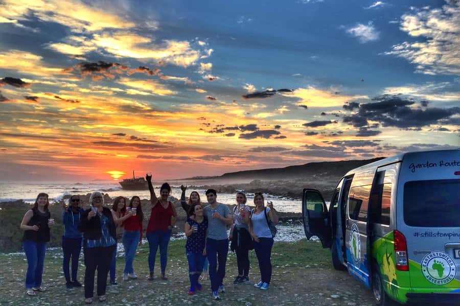 Cape Town: Garden Route and Addo Elephant Park 6-Day Safari - Two big thrills: Garden Route energy and an Addo safari morning