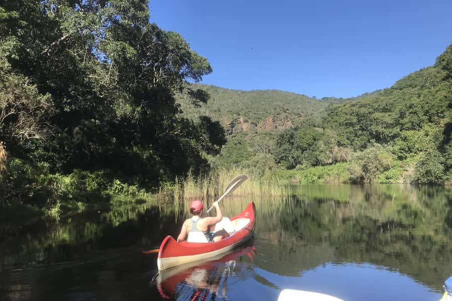 Cape Town: Garden Route and Addo Elephant Park 6-Day Safari - Key points you should know before you go
