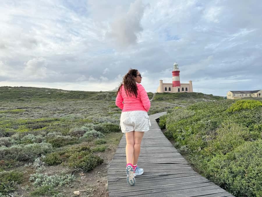 Cape Town: Garden Route and Addo Elephant Park 6-Day Safari - Day 2: Route 62 to Oudtshoorn for wine tasting and ostriches