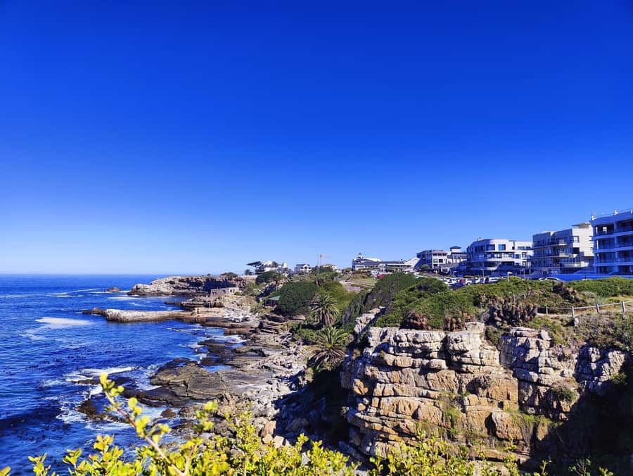 Cape Town: Garden Route and Addo Elephant Park 6-Day Safari - Day 4: Knysna Heads, Bloukrans bungee views, Tsitsikamma hiking, then on to Addo