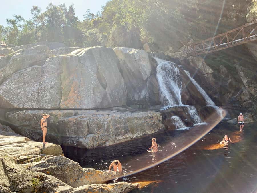 Cape Town: Garden Route and Addo Elephant Park 6-Day Safari - Day 5: Addo Elephant National Park safari morning (the main event)