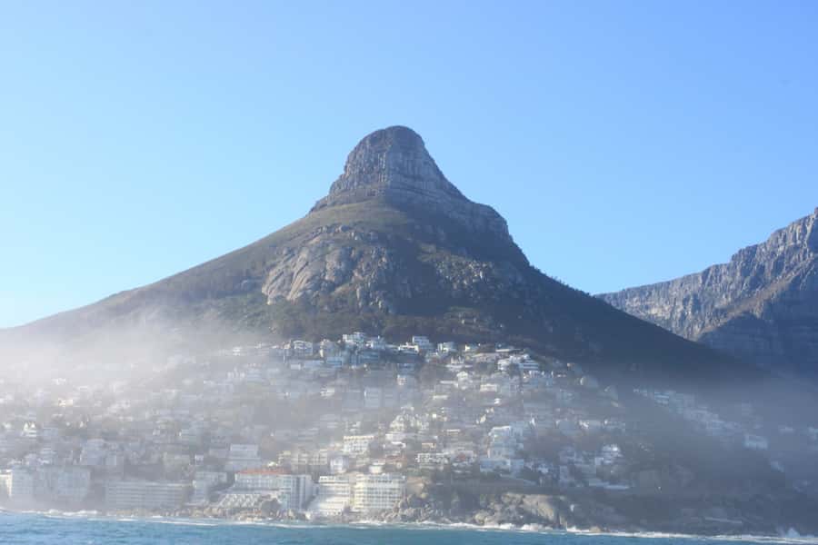 Cape Town: Marine Big 5 Ocean Safari from V&A Waterfront - Key highlights before you go